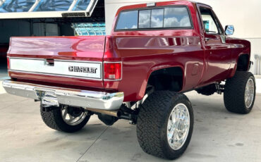 Chevrolet-Other-Pickups-1987-Pickup-Truck-4