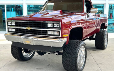 Chevrolet-Other-Pickups-1987-Pickup-Truck