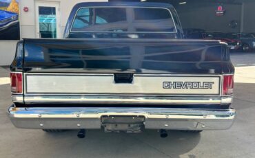 Chevrolet-Other-Pickups-1987-Pickup-Truck-5