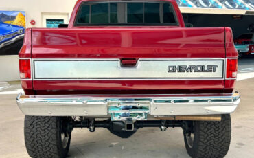 Chevrolet-Other-Pickups-1987-Pickup-Truck-5