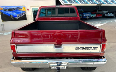 Chevrolet-Other-Pickups-1987-Pickup-Truck-6