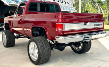 Chevrolet-Other-Pickups-1987-Pickup-Truck-7