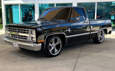 Chevrolet-Other-Pickups-1987-Pickup-Truck-8