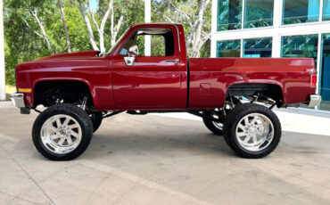 Chevrolet-Other-Pickups-1987-Pickup-Truck-8