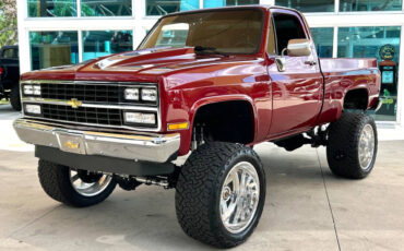 Chevrolet-Other-Pickups-1987-Pickup-Truck-9