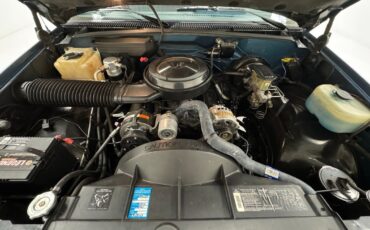 Chevrolet-Other-Pickups-1992-Pickup-Truck-20