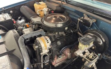 Chevrolet-Other-Pickups-1992-Pickup-Truck-21