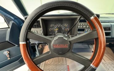 Chevrolet-Other-Pickups-1992-Pickup-Truck-31