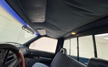 Chevrolet-Other-Pickups-1992-Pickup-Truck-38