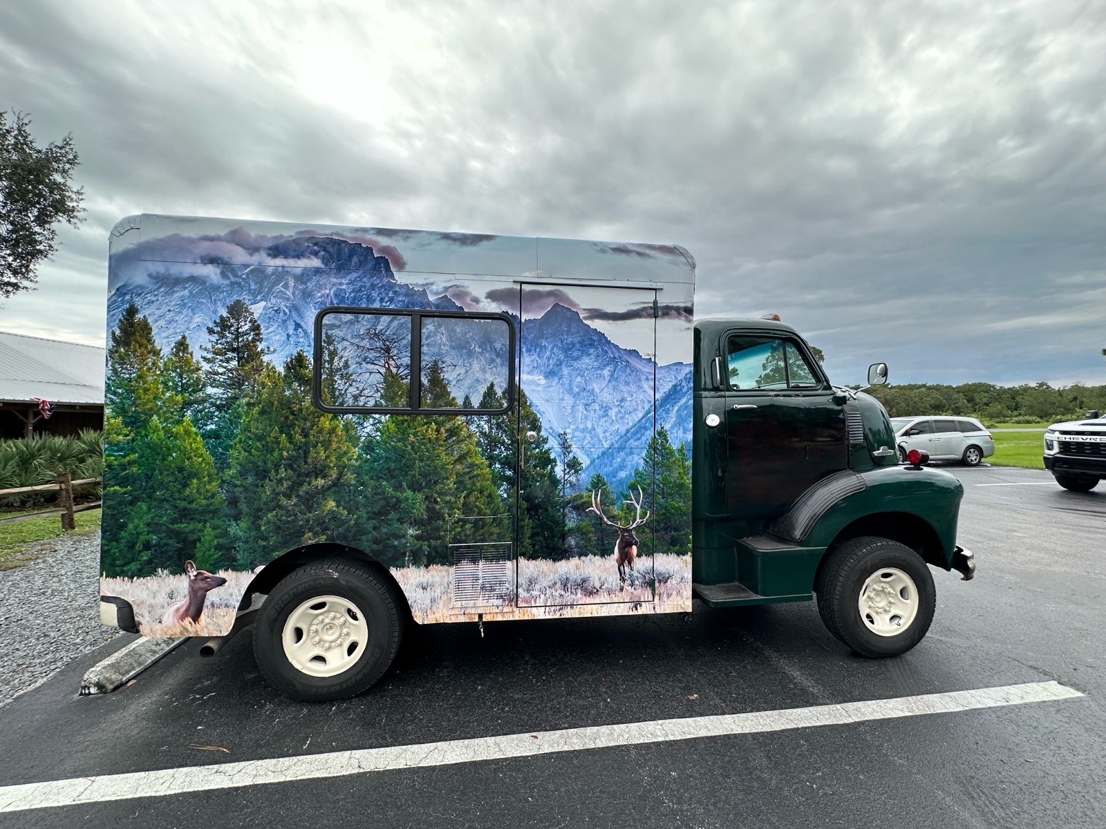Chevrolet-Pickup-1955-5