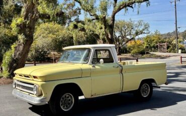 Chevrolet-Pickup-1966-19