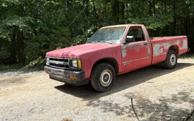 Chevrolet S-10 1991 Standard Cab Pickup