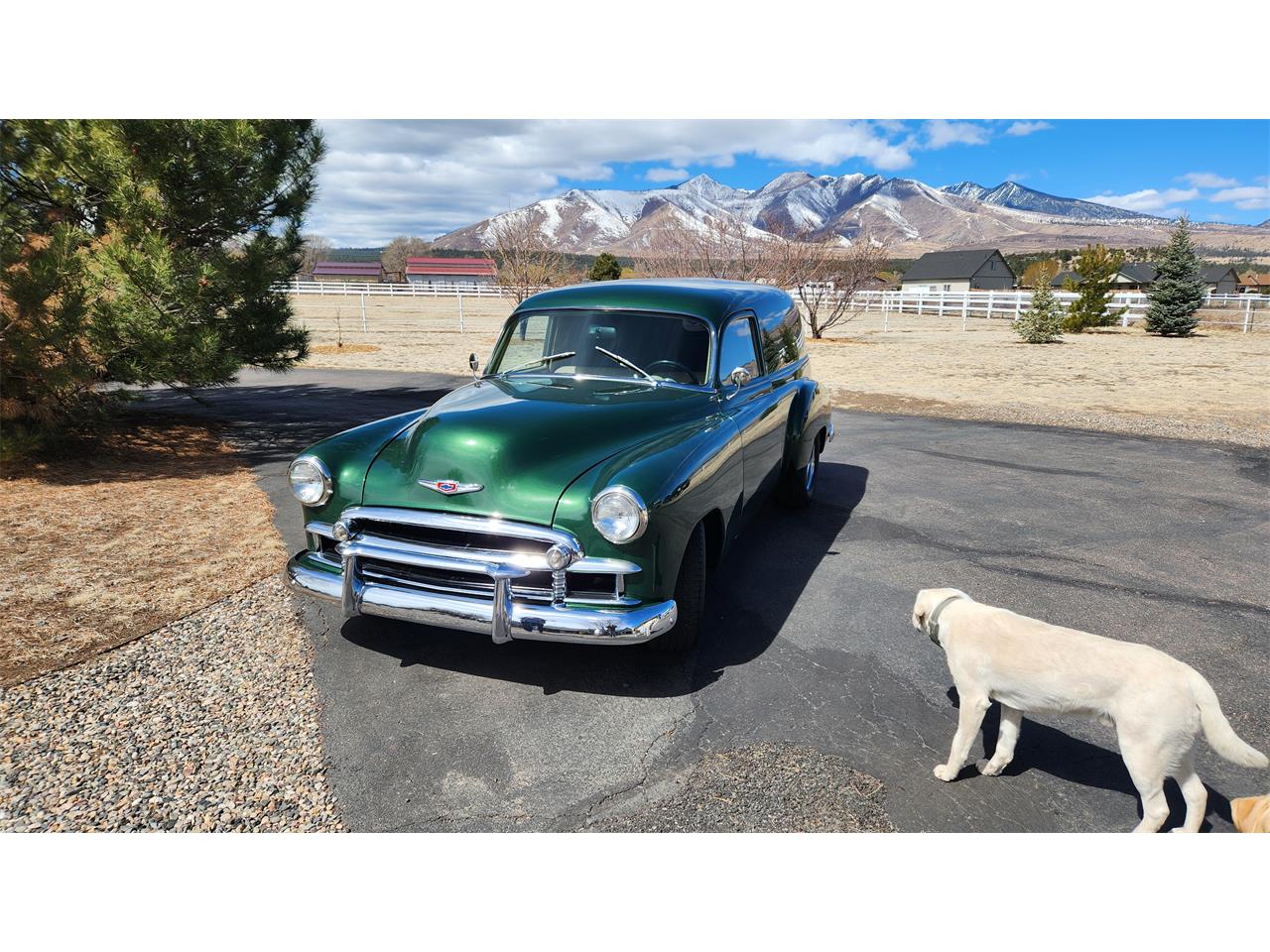 Chevrolet-Sedan-delivery-1950-Green-Tan-2