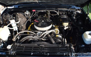 Chevrolet-Silverado-1500-1987-Standard-Cab-Pickup-15