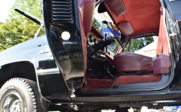 Chevrolet-Silverado-1500-1987-Standard-Cab-Pickup-18