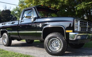 Chevrolet-Silverado-1500-1987-Standard-Cab-Pickup-8