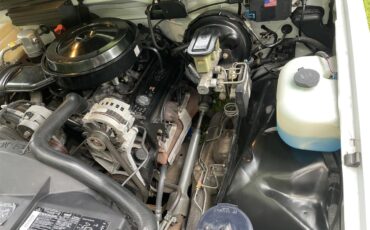 Chevrolet-Silverado-1500-1991-Arctic-Whitr-RedMaroon-18
