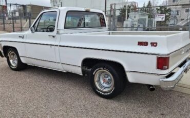Chevrolet-Silverado-1978-White-2