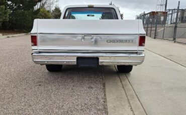 Chevrolet-Silverado-1978-White-3