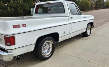 Chevrolet-Silverado-1978-White-5