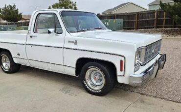 Chevrolet-Silverado-1978-White-6