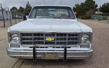 Chevrolet-Silverado-1978-White-8