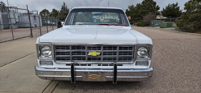 Chevrolet-Silverado-1978-White-8