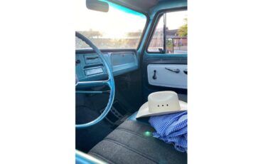 Chevrolet-Stepside-1965-Green-Gray-6
