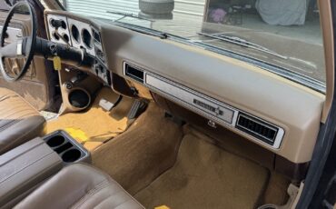 Chevrolet-Suburban-1979-12