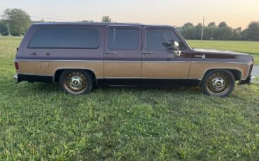 Chevrolet-Suburban-1979-3