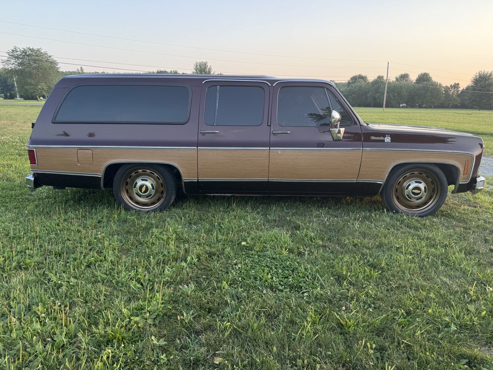 Chevrolet-Suburban-1979-3