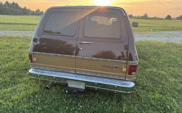 Chevrolet-Suburban-1979-5