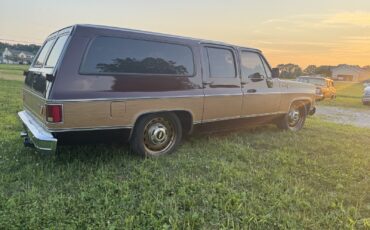 Chevrolet-Suburban-1979-6