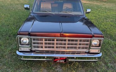 Chevrolet-Suburban-1979-8