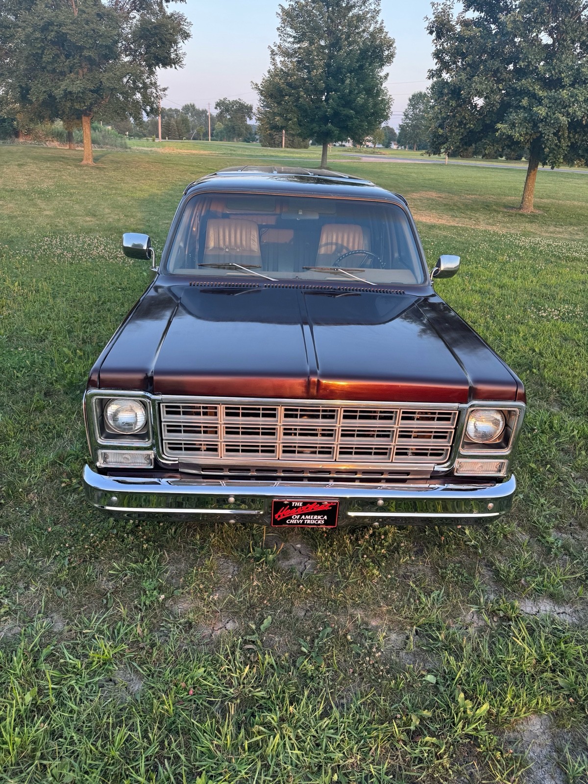 Chevrolet-Suburban-1979-8
