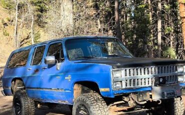 Chevrolet-Suburban-1982-Blue-4