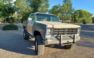 Chevrolet-blazer-1977-grey-1