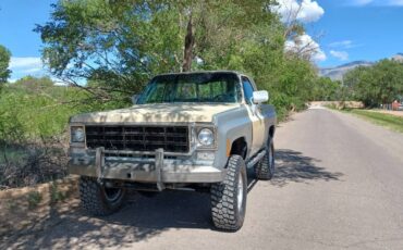 Chevrolet-blazer-1977-grey-12