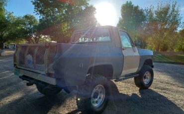 Chevrolet-blazer-1977-grey-2