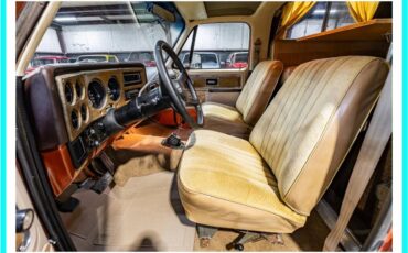 Chevrolet-blazer-cheyenne-chalet-1977-brown-10