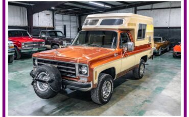 Chevrolet-blazer-cheyenne-chalet-1977-brown-14