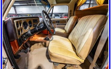 Chevrolet-blazer-cheyenne-chalet-1977-brown-2