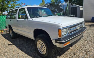 Chevrolet-blazer-s10-1993-white-1