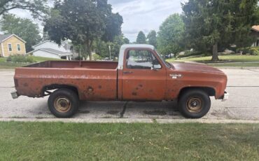 Chevrolet-c-20-pickup-1974-orange
