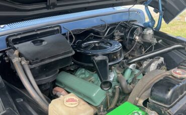 Chevrolet-c-30-1965-blue-4