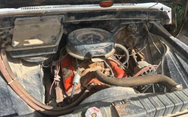Chevrolet-c10-1965-blue-1
