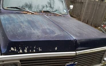 Chevrolet-c10-1972-blue-4