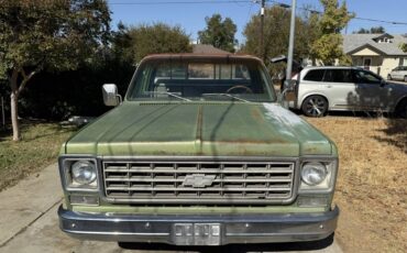 Chevrolet-c10-1976-green-1