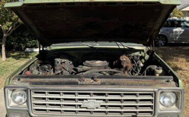 Chevrolet-c10-1976-green-3