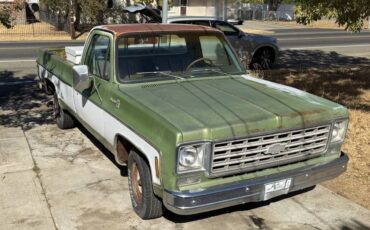 Chevrolet-c10-1976-green-4